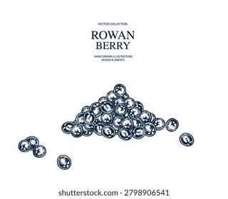 heap of rowanberry hand drawn Isolated vector illustration banner. Health food produce. Greeting card templates, restaurant menu, packaging. Botanical sketches. Pencil drawing. Engraving