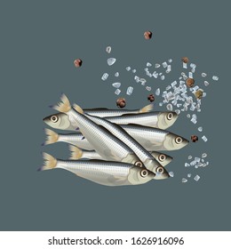 Heap of small silver fish with salt crystals and grains of black pepper. Vector illustration isolated on the gray background