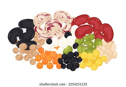 Heap of various leguminous grains on a white background. Grains of beans, kidney beans, soybeans, lentils, chickpeas, mung. organic superfood. vector illustration