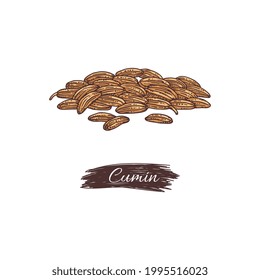 Heap of zira or cumin spicy aromatic seeds with lettering tag, engraving style vector illustration isolated on white background. Bundle for cumin packaging.