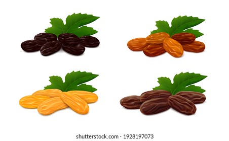 Heaps of raisins with leaf isolated on white background. Collection of different types of dried grapes (Zante currant, Sultana, Jumbo Golden and brown Thompson) Realistic vector illustration.