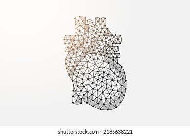Heart 3d low poly symbol with connected dots. Cardiology, human transplantation design vector illustration. Internal organ polygonal wireframe