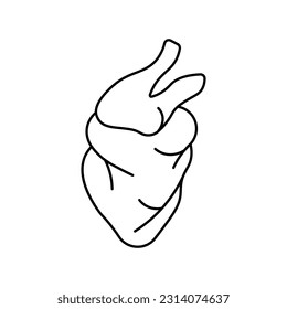 Heart, anatomy flat line icon. Human heart.
