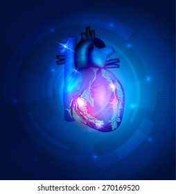 Heart Anatomy On A Beautiful Blue Technology Background 