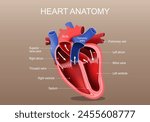 Heart anatomy. Part of the human heart. Vector poster. Isometric Flat illustration.