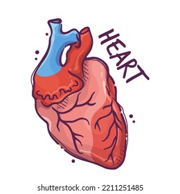 Heart. Animals And Humans Internal Organs. Medical Theme For Posters, Leaflets, Books, Stickers. Human Organ Anatomy. Vector Hand Drawn Style Illustration.