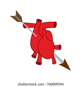 Heart and arrow symbol of love. Anatomical heart. Valentines Day. 14 of February. Vector illustration.
