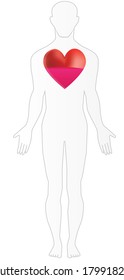 Heart Attack Human Body