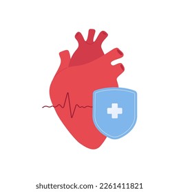 Heart attack prevention healthcare collection.Vector flat illustration. Red anatomilcal heart with blue shield symbol on white background. Design element for cardiology, health care