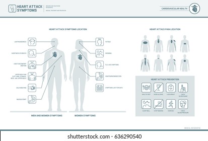 Heart attack symptoms on men and women infographic, pain location and prevention tips