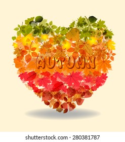 Heart autumn leaves