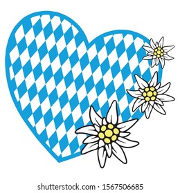 Heart with a Bavarian background of blue and white diamonds and three Edelweiss flowers. Vector illustration isolated on white background for design and web.