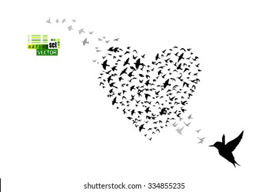 Heart of birds. Vector