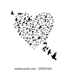 Heart of birds. Vector
