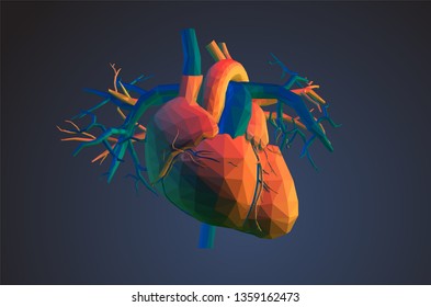 Heart and blood vessels. Stylized triangular polygons vector illustration