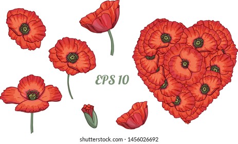 Heart bouquet set collection made from red poppy flowers, romantic shape with plants. Hand drawn vector illustration. Isolated.