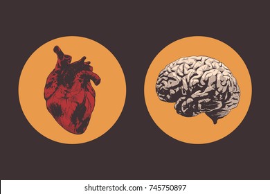 heart and brain vector isolated illustration