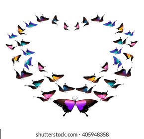 heart of butterflies. butterflies vector 