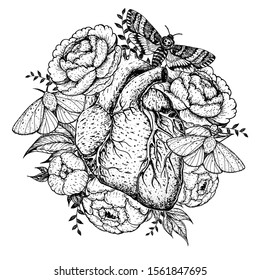 Heart, butterfly and flower hand drawn. Vintage vector illustration. Anatomical floral heart. Isolated sketch illustration. Vintage print.