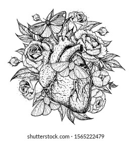 Heart, butterfly and flower hand drawn. Vintage vector illustration. Anatomical floral heart. Isolated sketch illustration. Vintage print.