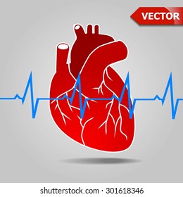 The heart and cardiogram icon. Heart and cardiogram symbol. Flat Vector illustration