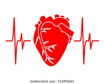 heart cardiology cardiogram medicine health red