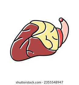 vector de icono del color del pollo del corazón. signo de pollo al corazón. ilustración de símbolo aislado