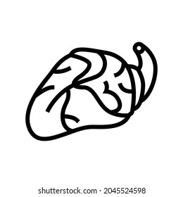 heart chicken line icon vector. heart chicken sign. isolated contour symbol black illustration