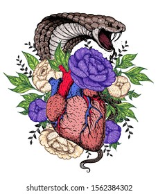 Heart, cobra snake and flower hand drawn. Vintage vector illustration. Anatomical heart. Isolated colorful heart illustration. Tattoo print