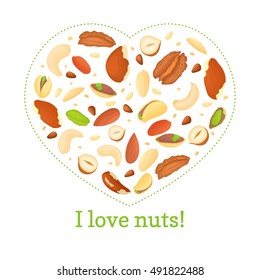 Heart colored frame composed of different nuts brazil, cashew, peanut, pecan, pine, pistachio. Vector card illustration. Heart with place for your text packaging design element