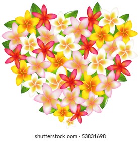 Heart From Colorful Fragipani Flowers, Isolated On White