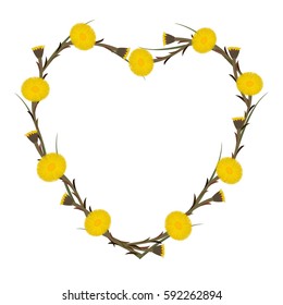 Heart of coltsfoot flowers, vector