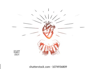 Heart concept. Hand drawn human heart in hands. Concept of healthcare, heart diseases isolated vector illustration.