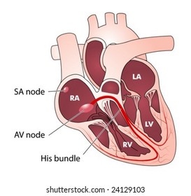 Heart Nodes Images Stock Photos Vectors Shutterstock