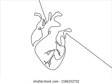 Heart. Continuous line