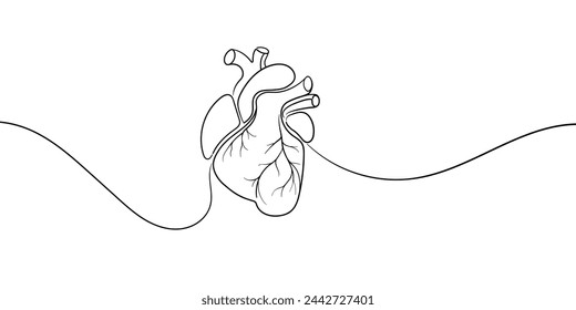 Heart continuous line art drawing isolated on white background. Minimal, health, organ, black and white. Vector illustration