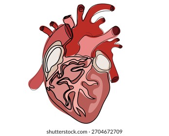 Heart in continuous line drawing
