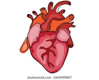 The heart is in a continuous line drawing on a white background.