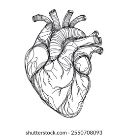 Dibujo continuo de una línea del corazón, ilustración minimalista del Vector blanco y negro del concepto del amor hecho de una línea