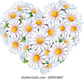 Heart of daisies in bloom.