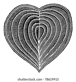 Heart Decorative Woodcut