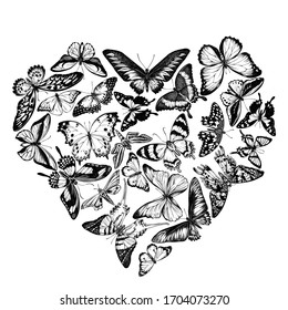 Heart design with black and white octauius swordtail, great orange-tip, emerald swallowtail, plain tiger, rajah brooke's birdwing, papilio torquatus, swallowtail butterfly