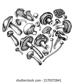 Heart design with black and white oyster mushroom, champignon, honey agaric, etc.