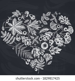 Heart design with chalk fern, dog rose, rowan, ginkgo, maple, oak, horse chestnut, chestnut, hawthorn