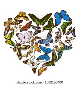 Heart design with colored morpho menelaus, graphium androcles, morpho rhetenor cacica, papilio demoleus, cethosia biblis, papilio antimachus, alcides agathyrsus, ornithoptera priamus, ornithoptera