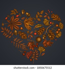 Heart design on dark background with fern, dog rose, rowan, ginkgo, maple, oak, horse chestnut, chestnut, hawthorn