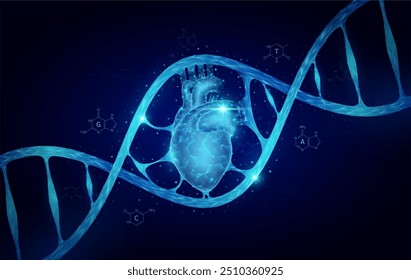 Heart DNA gene cell double helix blue. Genetic synthetic biology combined. Anatomy organ glowing polygonal. Code analysis thymine, adenine, guanine, cytosine. Medical science background vector.