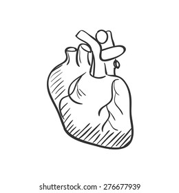 heart doodle drawing, Medical background. Excellent vector illustration, EPS 10