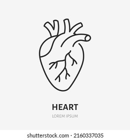 Heart doodle line icon. Vector thin outline illustration of human internal organ. Black color linear sign for cardiovascular system