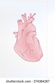 Heart Drawn on a Linen Piece of Paper in Realistic Manner. Human Heart with Veins Outline. Vector Illustration. 